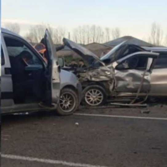 Screenshot 20260425 111732 Gallery