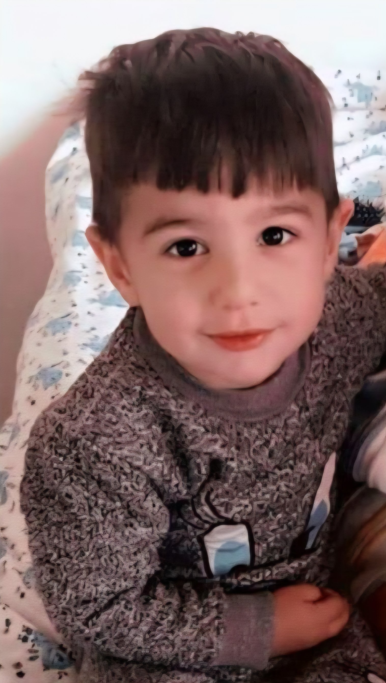 Vanda Kopek Saldirisinda Hayatini Kaybeden Cocuk Topraga Verildi