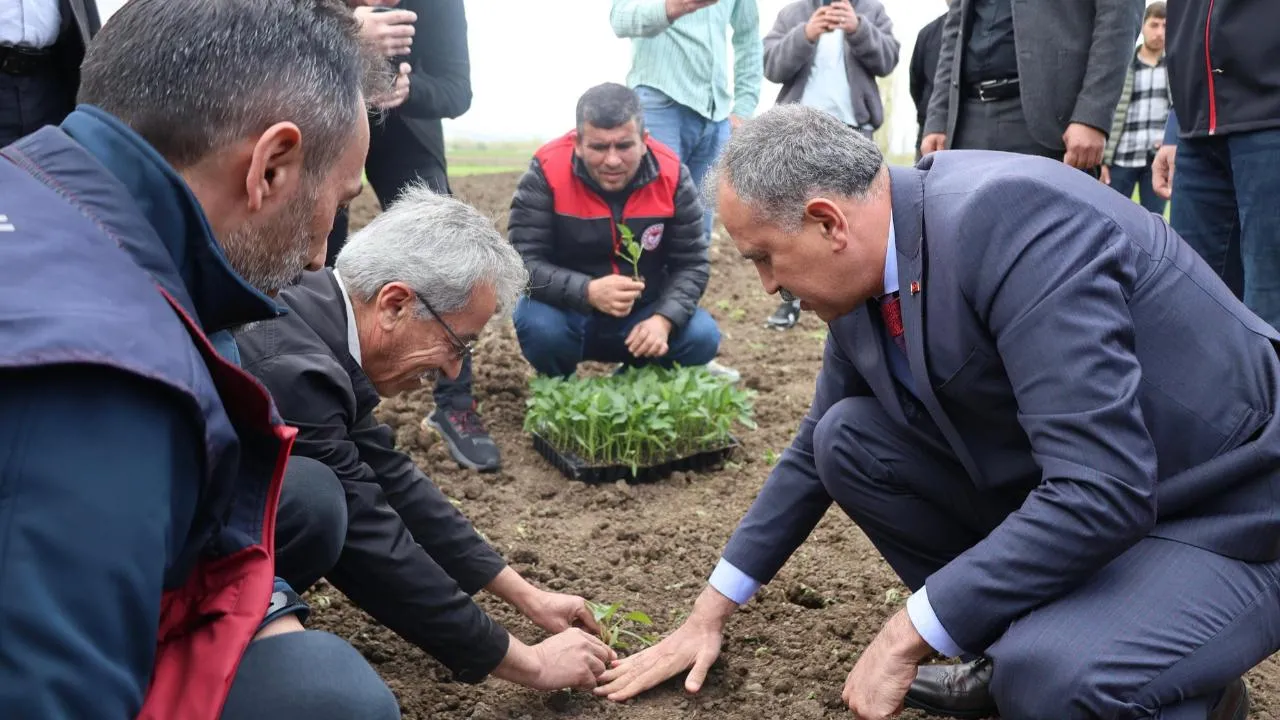 Agrida 236 Ciftciye 100 Bin Sebze Fidesi Dagitildi 6A1035E05F25D