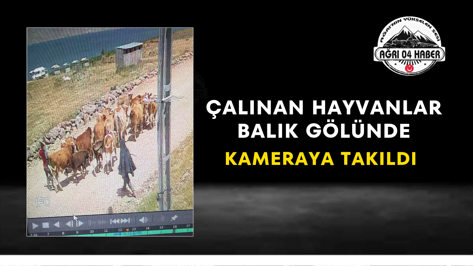 Çalınan Hayvanlar Balık Gölünde Kameraya Takıldı