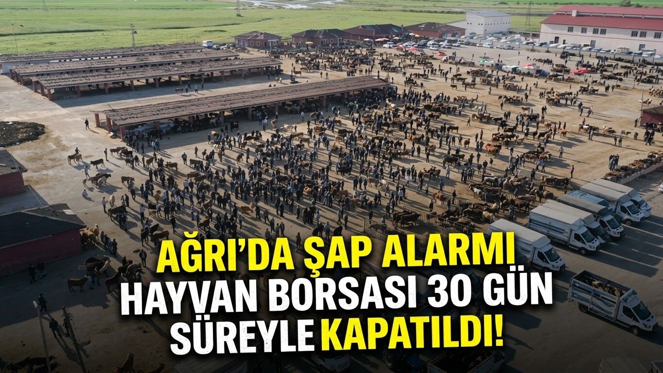 Ağrı’da Şap Alarmı Hayvan Borsası 30 Gün Süreyle Kapatıldı