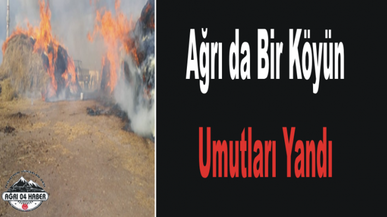 Ağrı da Yangın Söndürme Çalışması Devam Ediyor