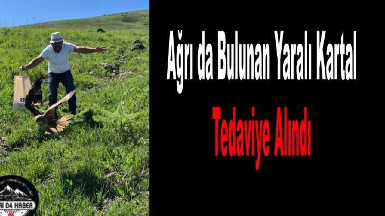 Ağrı da Bulunan Yaralı Kartal Emin Ellerde