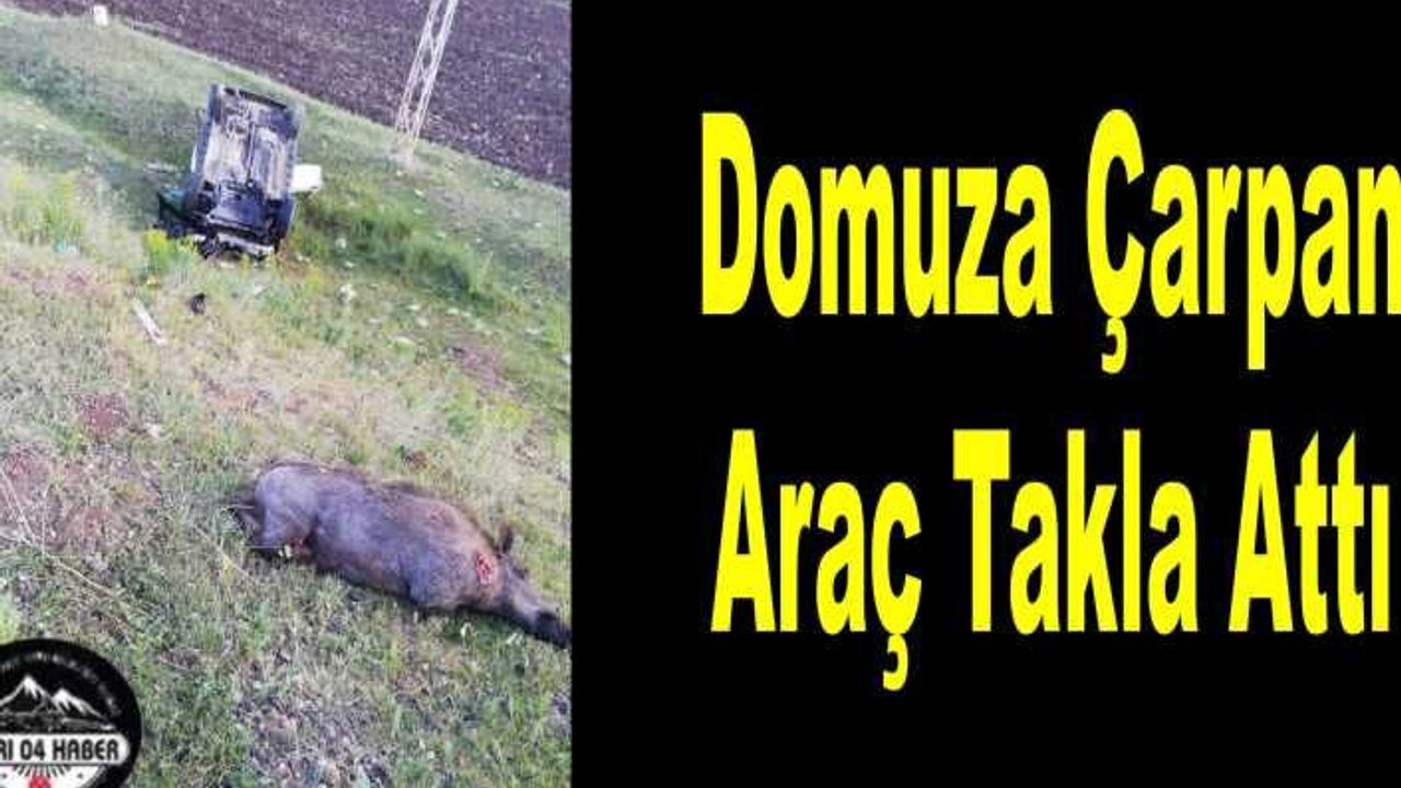 Ağrı da Domuza Çarpan Araç Takla Attı