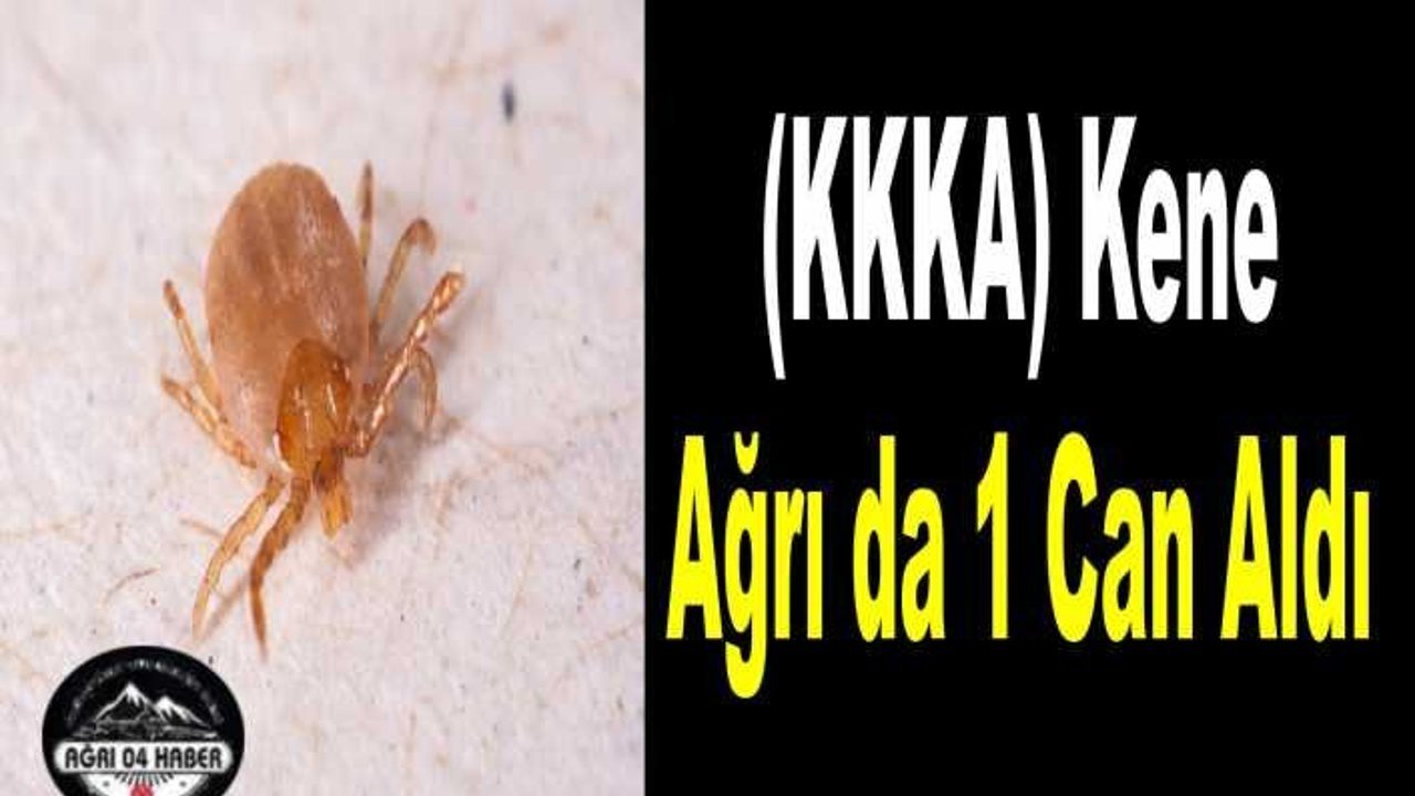 Kene (KKKA) Ağrı da Can Aldı