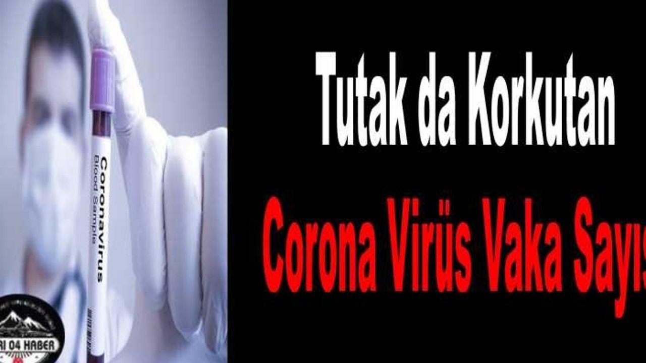 Tutak'ta Ürperten Covid 19 Vaka Sayısı