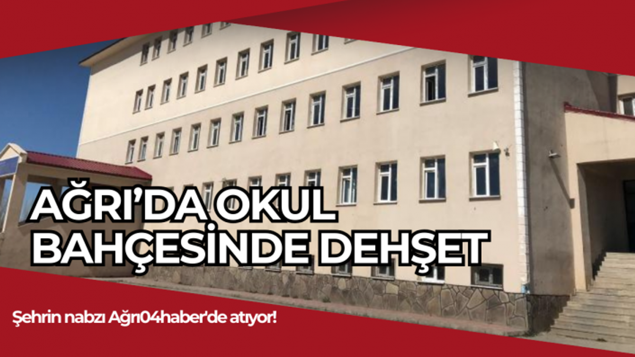 Ağrı'da Okul Bahçesinde Dehşet: 13 Yaşındaki Medine Yaşam Savaşı Veriyor!