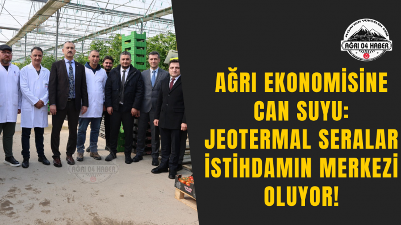 Ağrı Ekonomisine Can Suyu: Jeotermal Seralar İstihdamın Merkezi Oluyor!