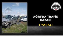 Ağrı'da Trafik Kazası 1 Yaralı