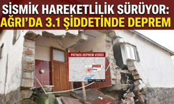 Sismik Hareketlilik Sürüyor Ağrı'da 3.1 Şiddetinde Deprem