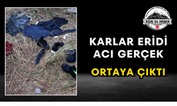Karlar Eridi Acı Gerçek Ortaya Çıktı