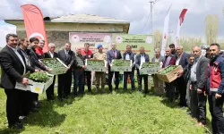Vali Bozkurt’tan Çiftçiye Fide Desteği