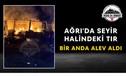 Ağrı'da Seyir Halindeki Tır Bir Anda Alev Aldı