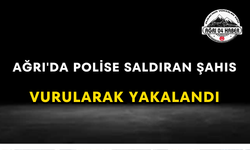 Ağrı'da Polise Saldıran Şahıs Vurularak Yakalandı