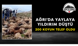 Ağrı'da Yaylaya Yıldırım Düştü 200 Koyun Telef Oldu