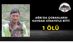 Ağrı'da Çobanların Kavgası Cinayetle Bitti 1 Ölü