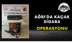 Ağrı'da Kaçak Sigara Operasyonu