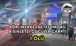 Ağrı Merkezde Otomobil Bisikletli Çocuğa Çarptı 1 Ölü