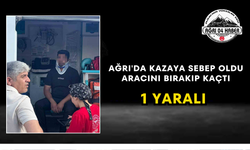 Ağrı'da Kazaya Sebep Oldu Aracını Bırakıp Kaçtı 1 Yaralı