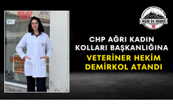CHP Ağrı Kadın Kolları Başkanlığına Veteriner Hekim Demirkol Atandı