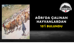 Ağrı’da Çalınan Hayvanlardan 15’i Bulundu