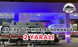 Ağrı’da Sokak Ortasında Kavga 2 Yaralı