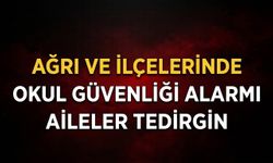 Ağrı Ve İlçelerinde Okul Güvenliği Alarmı Aileler Tedirgin