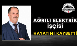 Ağrılı Elektrik İşçisi Hayatını Kaybetti