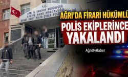 Ağrı'da Firari Hükümlü Polis Ekiplerince Yakalandı