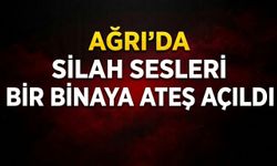 Ağrı’da Silahlı Sesleri Bir Binaya Ateş Açıldı
