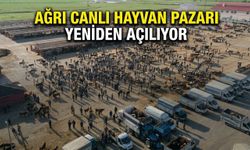 Ağrı Canlı Hayvan Pazarı Yeniden Açılıyor