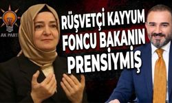 Rüşvetçi Kayyum, Foncu Bakanın Prensiymiş