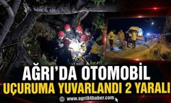 Ağrı’da Otomobil Uçuruma Yuvarlandı 2 Yaralı