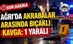 Ağrı'da Akrabalar Arasında Bıçaklı Kavga 1 Yaralı