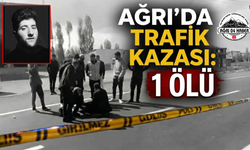 Ağrı'da Trafik Kazası 1 Ölü