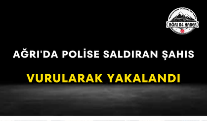 Ağrı'da Polise Saldıran Şahıs Vurularak Yakalandı