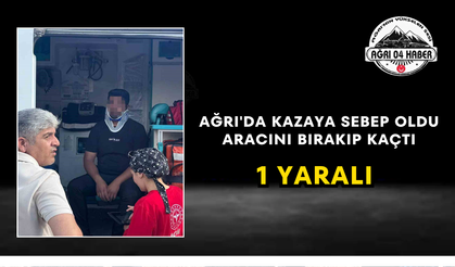 Ağrı'da Kazaya Sebep Oldu Aracını Bırakıp Kaçtı 1 Yaralı