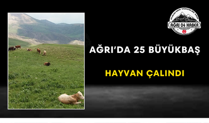 Ağrı’da 25 Büyükbaş Hayvan Çalındı