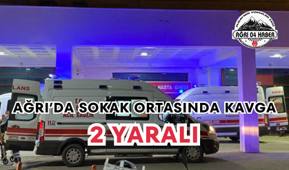 Ağrı’da Sokak Ortasında Kavga 2 Yaralı