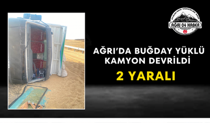 Ağrı’da Buğday Yüklü Kamyon Devrildi 2 Yaralı