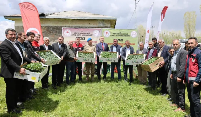 Vali Bozkurt’tan Çiftçiye Fide Desteği
