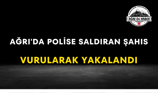 Ağrı'da Polise Saldıran Şahıs Vurularak Yakalandı