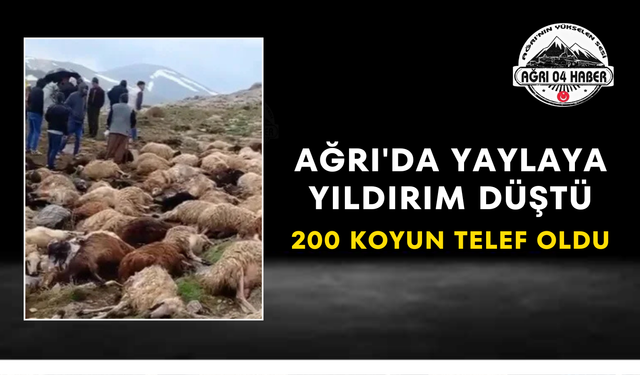 Ağrı'da Yaylaya Yıldırım Düştü 200 Koyun Telef Oldu