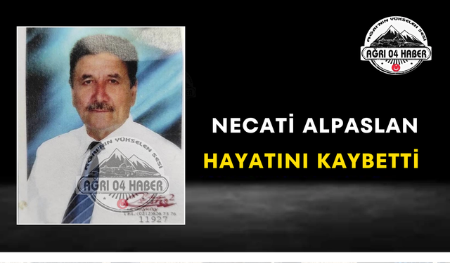Necati Alpaslan Hayatını Kaybetti