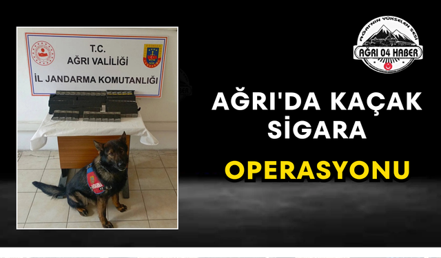 Ağrı'da Kaçak Sigara Operasyonu