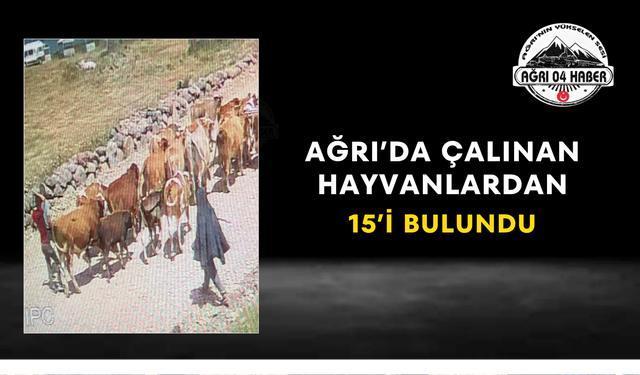 Ağrı’da Çalınan Hayvanlardan 15’i Bulundu