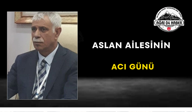 Aslan Ailesinin Acı Günü