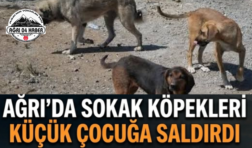 Ağrı'da Sokak Köpekleri Küçük Çocuğa Saldırdı
