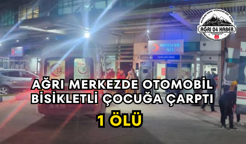 Ağrı Merkezde Otomobil Bisikletli Çocuğa Çarptı 1 Ölü