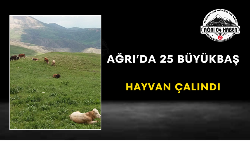 Ağrı’da 25 Büyükbaş Hayvan Çalındı